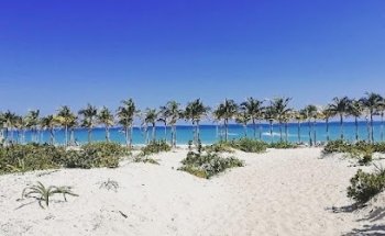 Agencia de Viajes Turismo Social