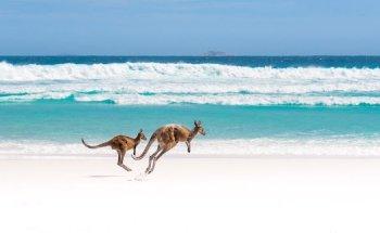 South Pacific Journeys, A Direct Travel Company