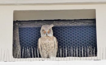 Reisebüro GRUBER, Filiale Klagenfurt - Telewings
