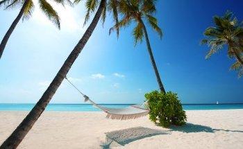 MPtravel agency