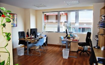 Viajes Beagle Madrid