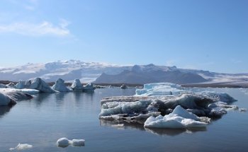 Tailor Made Travel - Reizen op maat