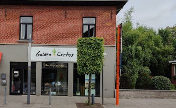 Golden Cactus Travel