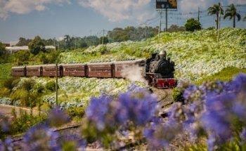 Passeio de Trem Maria Fumaça