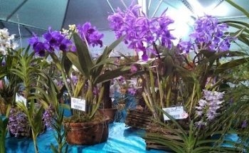 Forma Turismo São Carlos