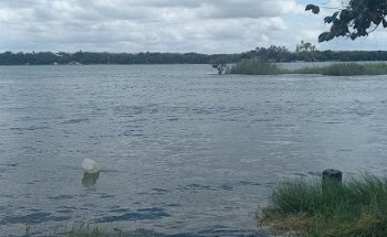 BOAT TRIP, by the river.