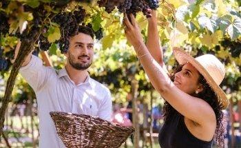 Giordani Turismo - Operadora Oficial dos Passeios de Maria Fumaça