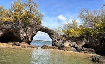 Transportadora Turistica Cassios Passeios