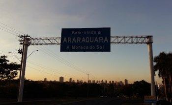 Transport company Cruz