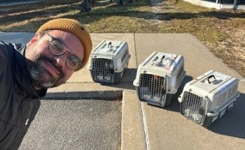 Embarpet - Embarque de Animais