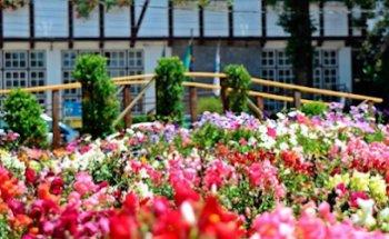 Brocker Turismo | Unidade Canela