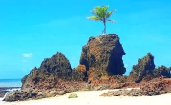 Passear de Buggy João Pessoa