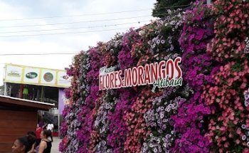 Art Turismo - Excursões e Turismo em Geral