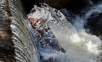 Viação Sampaio - Ag. Lamin Tour