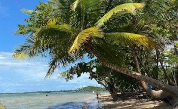 SkyBlue Agência de Viagens e Milhas