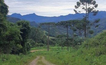 Araucária Ecoturismo