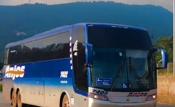 Anjos Turismo e Mudanças