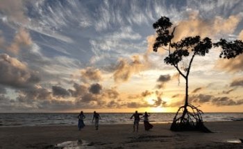 Agência Edgar Transporte e Turismo
