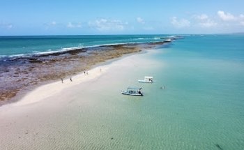 [KR Viagens e Turismo] O Melhor Transfer Maragogi, Porto de Galinhas, Recife e Maceió.