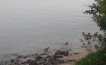 CVC Shopping Rio Claro