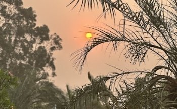 Auê Folia Eventos e Turismo Ltda.