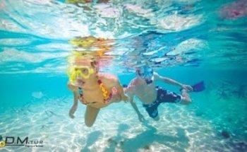 D.M.Tur Viagens e Turismo