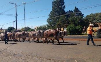 REALIDADE TRANSPORTE E TURISMO LTDA