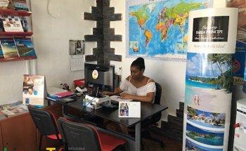 Linea Tours Móstoles Centro