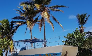 CPS-REISEN Ihr TourContact Reisebüro