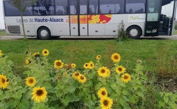 LK Tours • Europatours - Mulhouse