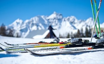 Alpina Tours - A Travel