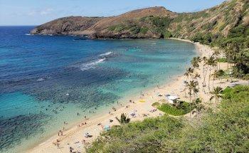 Amanda Rauh - The Travel Agent Next Door