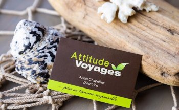 Attitude Voyages