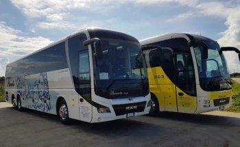 Parente Viaggi srl