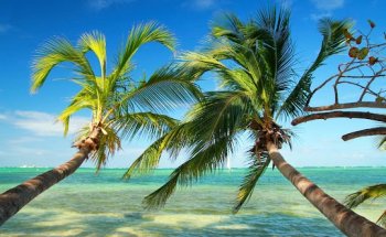 ARMONIE VOYAGES - POITIERS