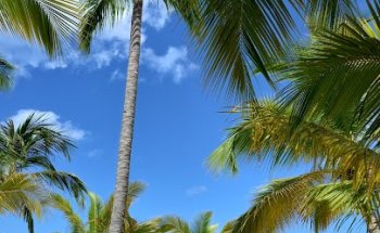 Reisebüro Wörlitz Tourist Werder