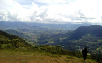 Primatas do Baú