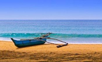 Mili - Travel Specialist for Sri Lanka (Personal Travel Agent)