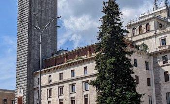 Olympia Viaggi To Srl