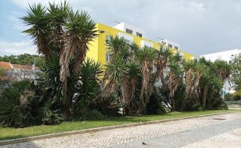 Vertour - Agência de Viagens e Turismo, Unipessoal Lda.