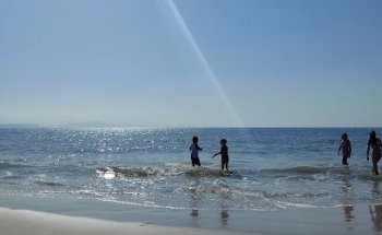 Sing Turismo & Viagens