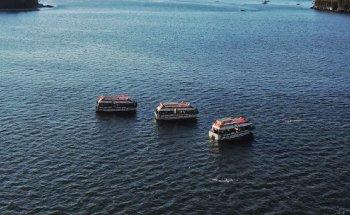 Collins Tours And Consulting Ltd