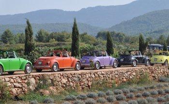 WYT Incentive reizen + events