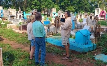 MEXICO MI AMOR TOURS PLAYA DEL CARMEN