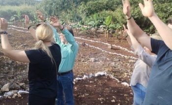 MEXICO MI AMOR TOURS PLAYA DEL CARMEN