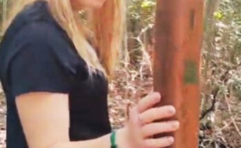 MEXICO MI AMOR TOURS PLAYA DEL CARMEN