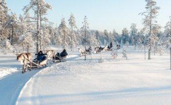 Salla Wilderness Park, Salla Reindeer Park