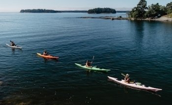 Natura Viva | Vuosaaren Melontakeskus | Vuosaari Paddling Center