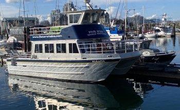 Five Star Whale Watching