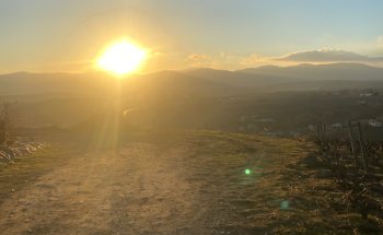 FRAM VOYAGES VILLEURBANNE